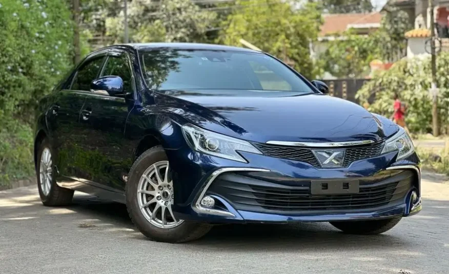 2017 Toyota Mark X 250G Premium Package