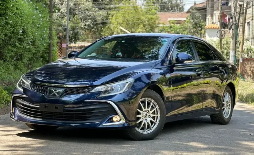 2017 Toyota Mark X 250G Premium Package
