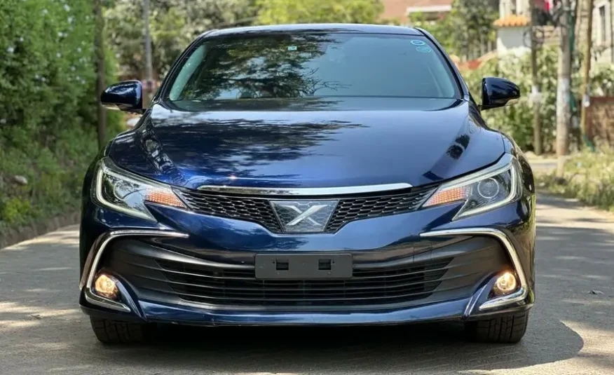 2017 Toyota Mark X 250G Premium Package