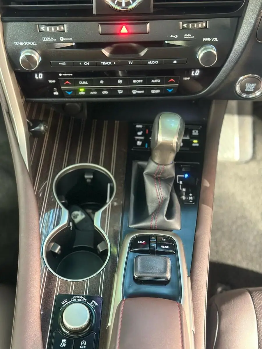 2018 Lexus RX 300 Fully Loaded