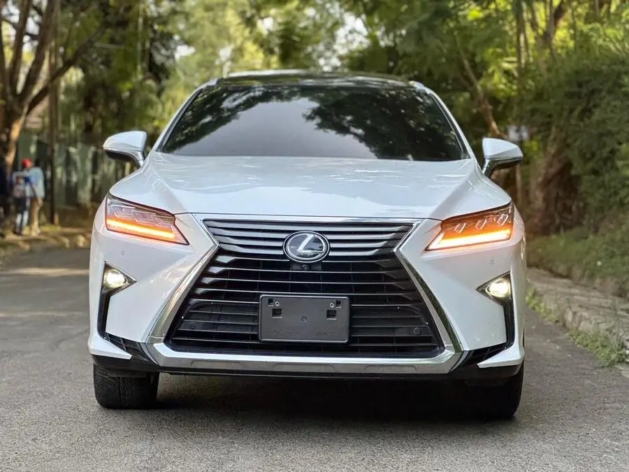 2018 Lexus RX 300 Fully Loaded