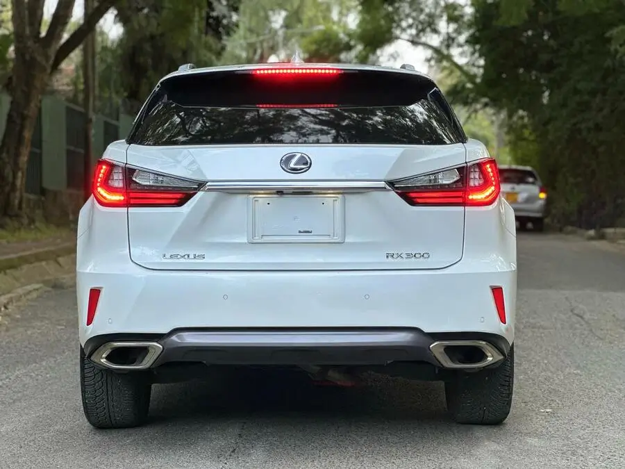 2018 Lexus RX 300 Fully Loaded