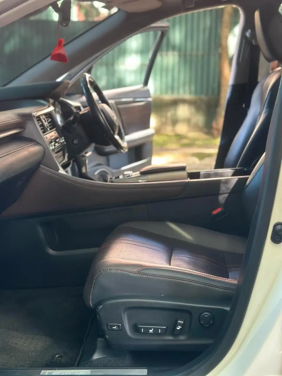 2018 Lexus RX 300 Fully Loaded