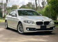 2017 Bmw 528i