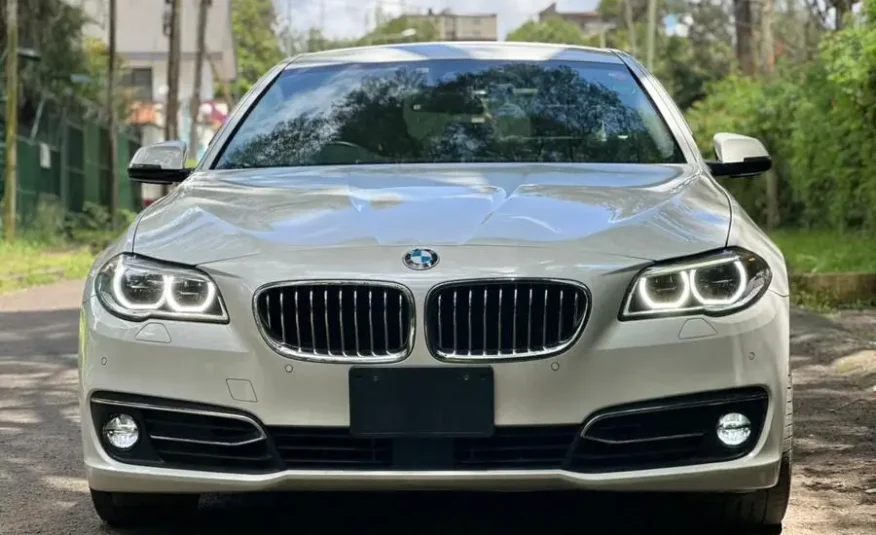 2017 Bmw 528i