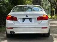 2017 Bmw 528i
