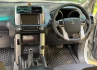 2013 Toyota Landcruiser Prado TZ