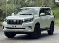 2019 Toyota Landcruiser Prado TX