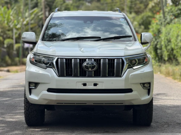 2019 Toyota Landcruiser Prado TX