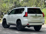 2019 Toyota Landcruiser Prado TX