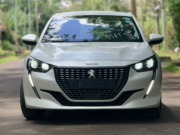 2021 Peugeot 208 NewShape