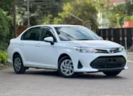 2019 Toyota Axio Low Mileage