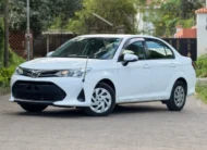 2019 Toyota Axio Low Mileage
