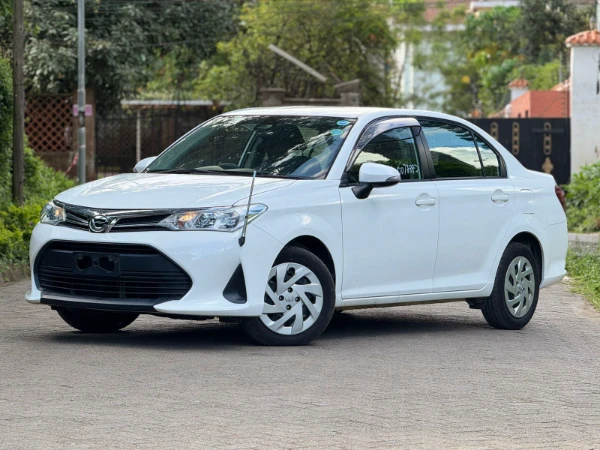 2019 Toyota Axio Low Mileage