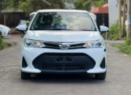 2019 Toyota Axio Low Mileage