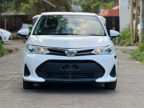 2019 Toyota Axio Low Mileage