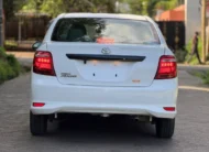 2019 Toyota Axio Low Mileage