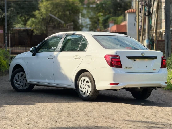 2019 Toyota Axio Low Mileage
