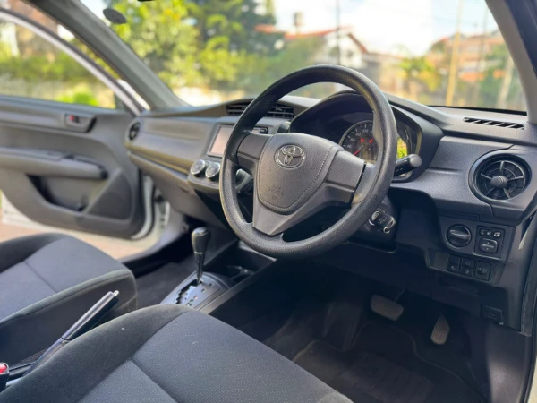 2019 Toyota Axio Low Mileage