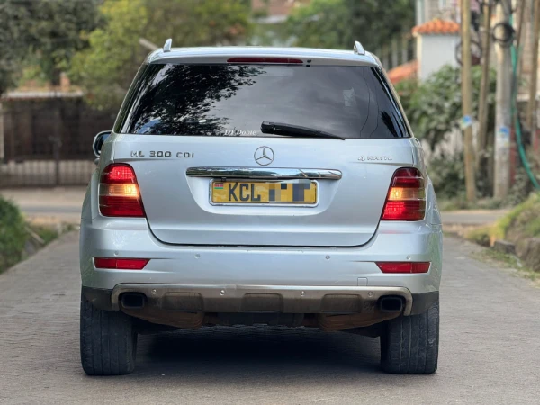 2010 Mercedes Benz ML300 4Matic