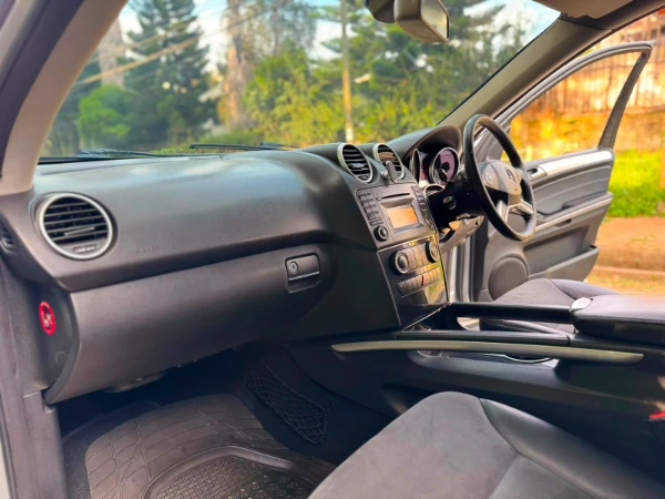 2010 Mercedes Benz ML300 4Matic