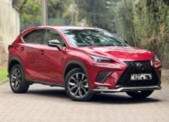 2019 Lexus NX300 Low Mileage