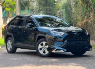 2019 Toyota Rav4 Low Mileage