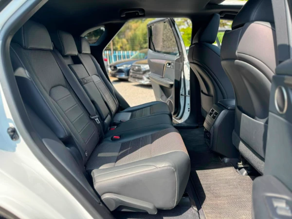 2019 Lexus RX300 Sunroof Low Mileage