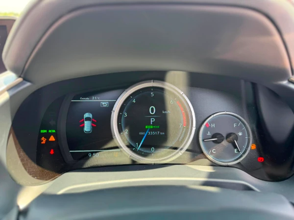 2019 Lexus RX300 Sunroof Low Mileage