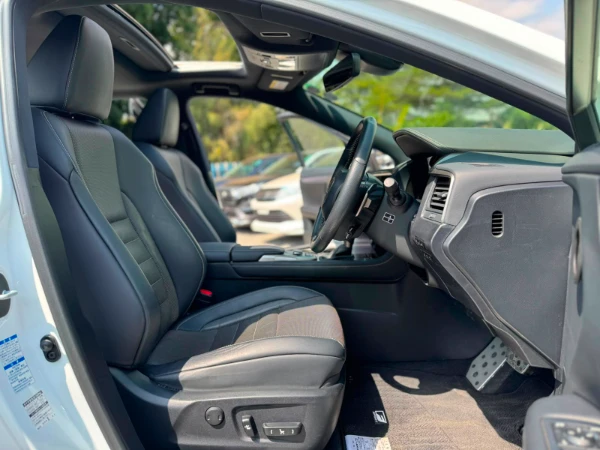 2019 Lexus RX300 Sunroof Low Mileage