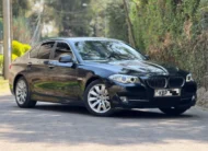 2010 BMW 525d