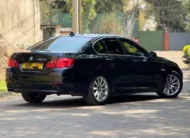 2010 BMW 525d