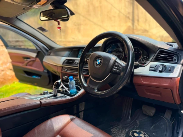 2010 BMW 525d