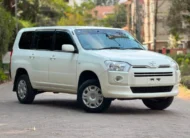 2020 Toyota Probox