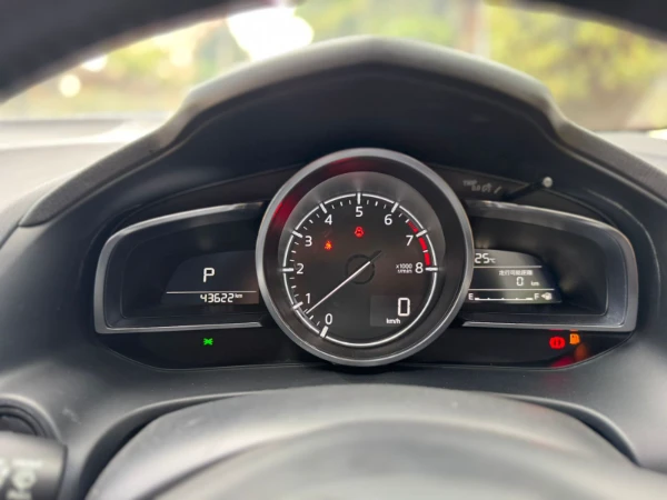 2019 Mazda Axela Low Mileage