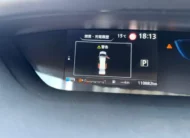 2019 Nissan Serena E-Power Highway Star